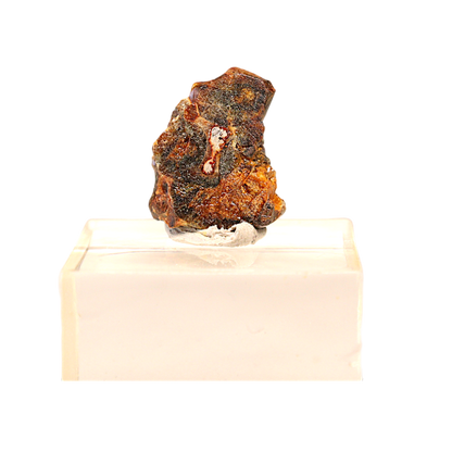 Sericho Pallasite Meteorite