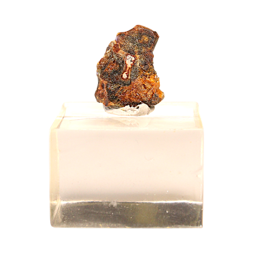 Sericho Pallasite Meteorite