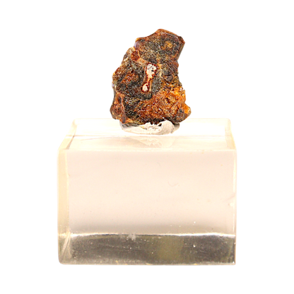 Sericho Pallasite Meteorite