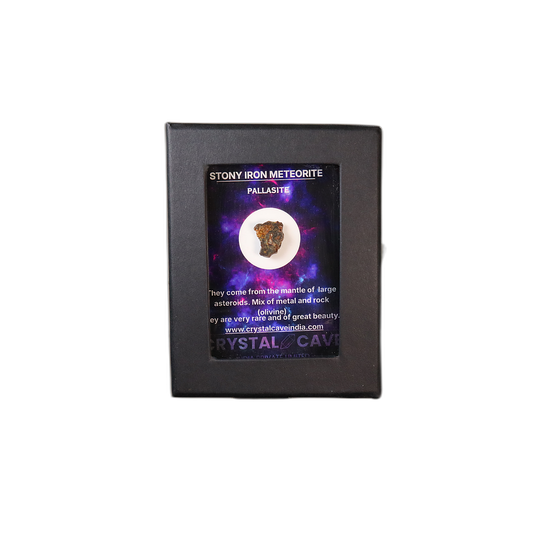 Sericho Pallasite Meteorite