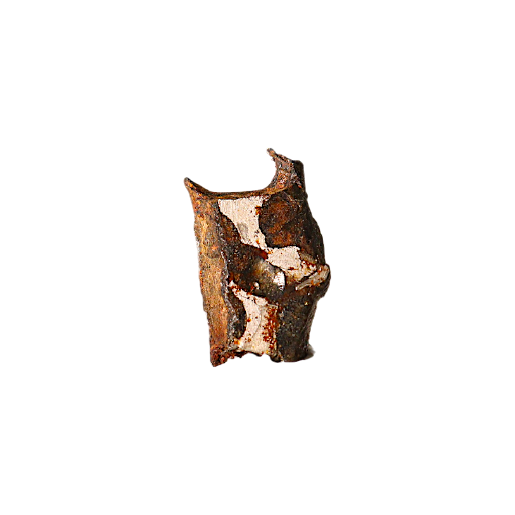 Sericho Pallasite Meteorite