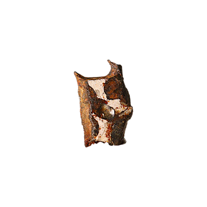 Sericho Pallasite Meteorite
