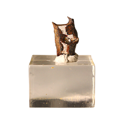 Sericho Pallasite Meteorite
