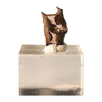 Sericho Pallasite Meteorite