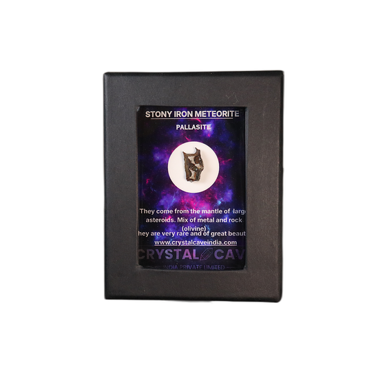 Sericho Pallasite Meteorite