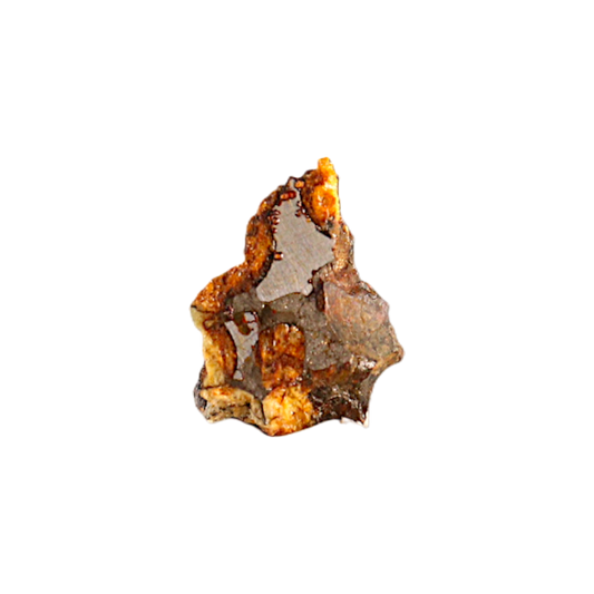 Sericho Pallasite Meteorite