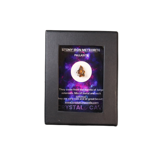 Sericho Pallasite Meteorite