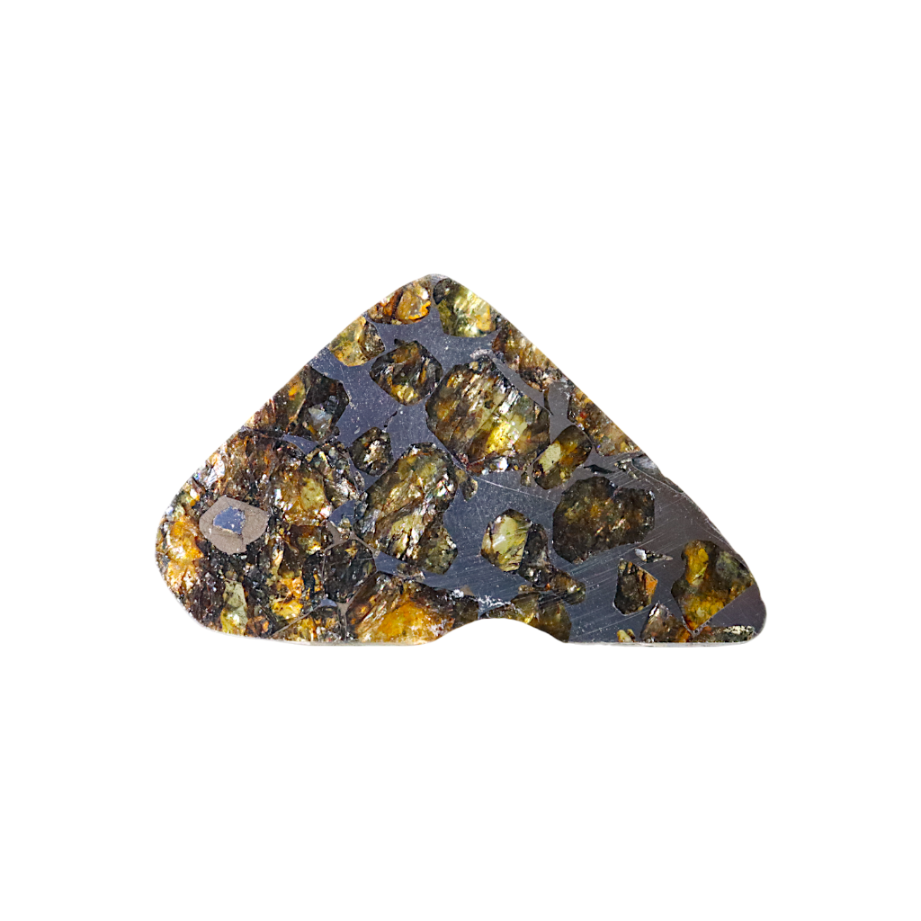 Seymchan Pallasite