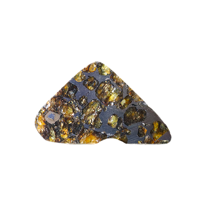 Seymchan Pallasite