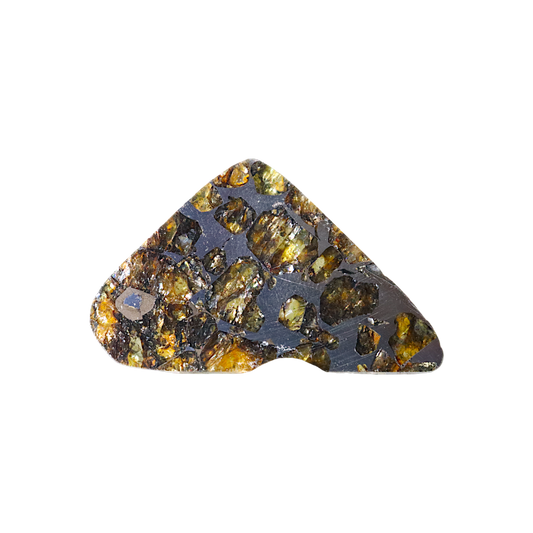 Seymchan Pallasite
