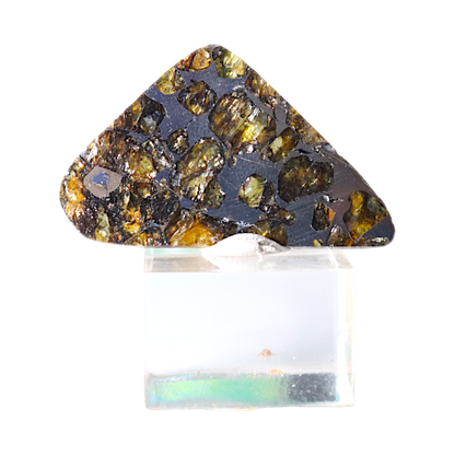 Seymchan Pallasite