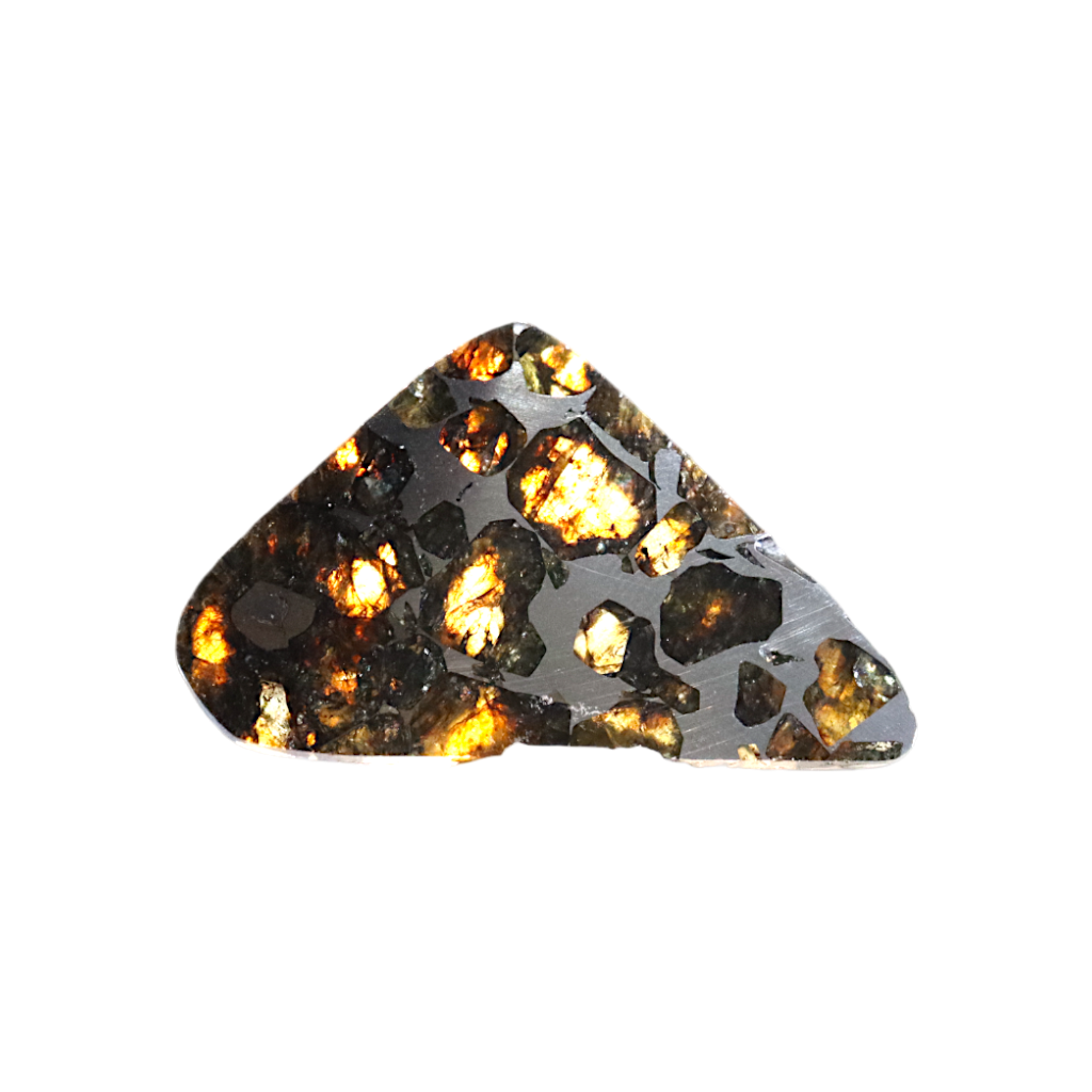 Seymchan Pallasite