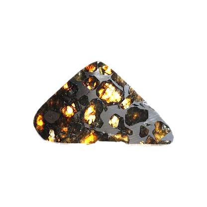 Seymchan Pallasite
