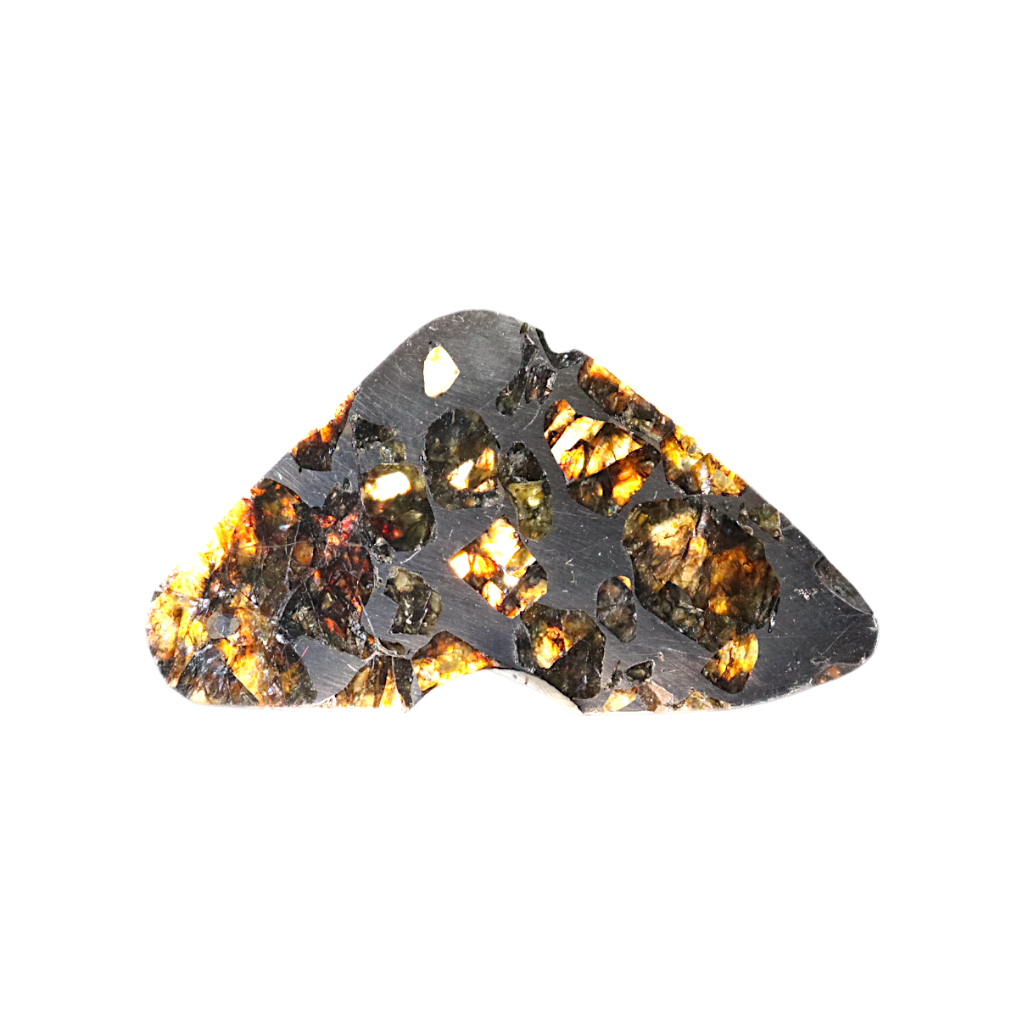 Seymchan Pallasite