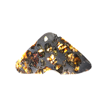 Seymchan Pallasite