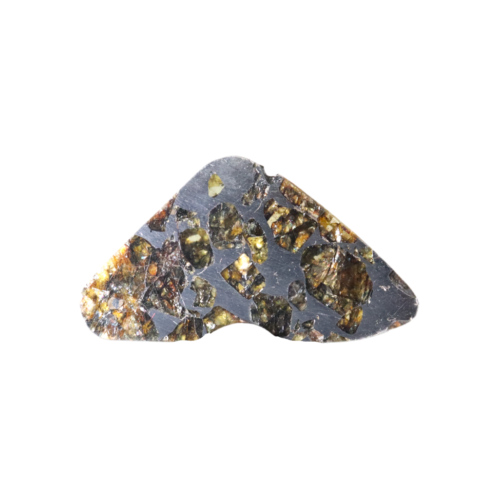 Seymchan Pallasite