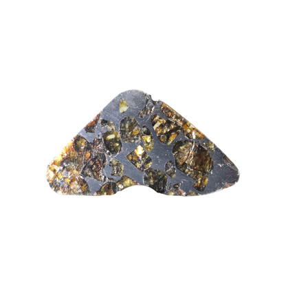Seymchan Pallasite