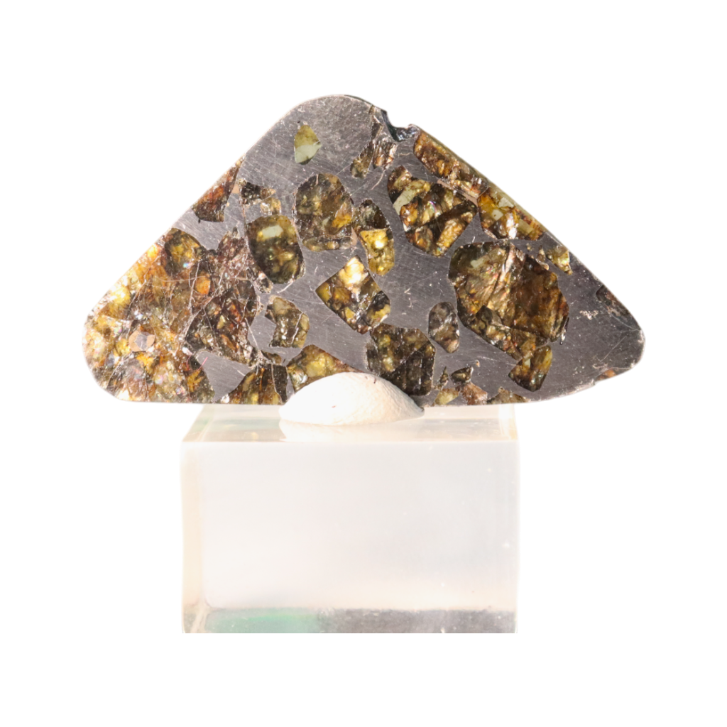 Seymchan Pallasite