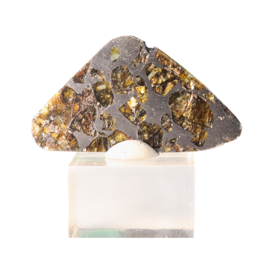 Seymchan Pallasite