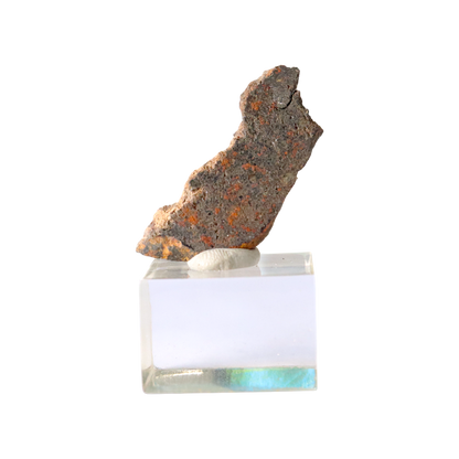 Meteorite (NWA 8234)