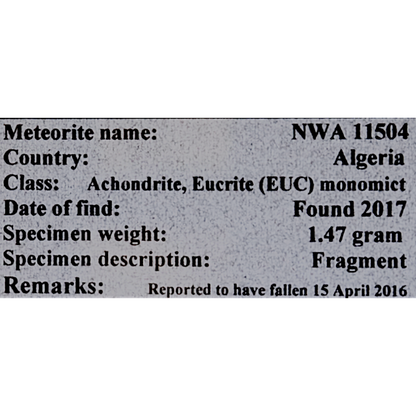 Meteorite (NWA 11504)