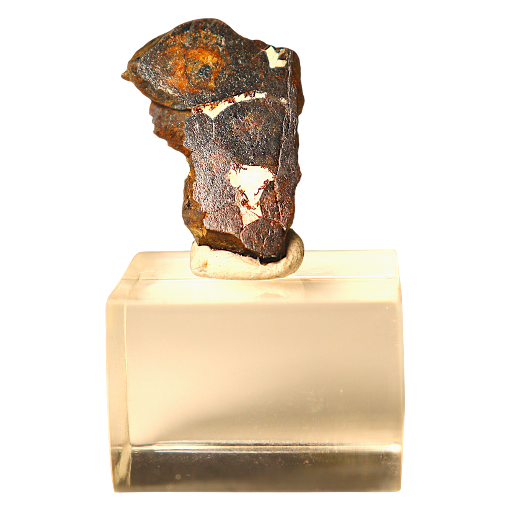 Sericho Pallasite Meteorite