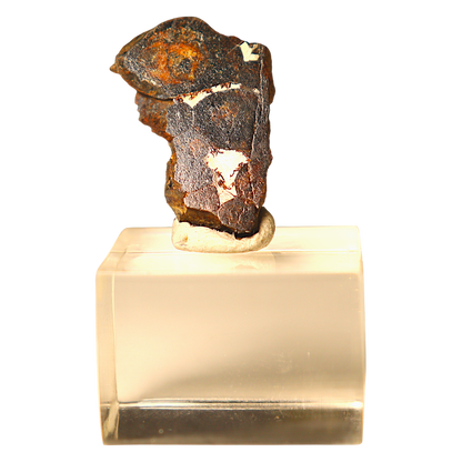 Sericho Pallasite Meteorite