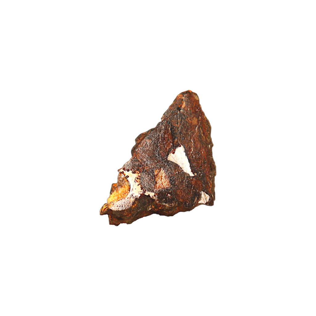 Sericho Pallasite Meteorite