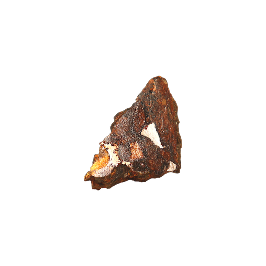 Sericho Pallasite Meteorite