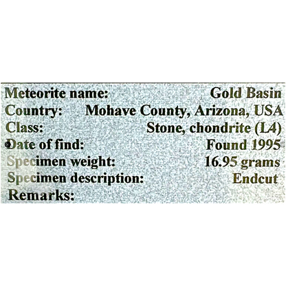 Meteorite (Gold Basin)