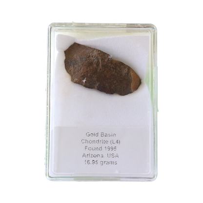 Meteorite (Gold Basin)