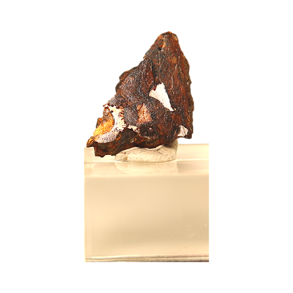 Sericho Pallasite Meteorite