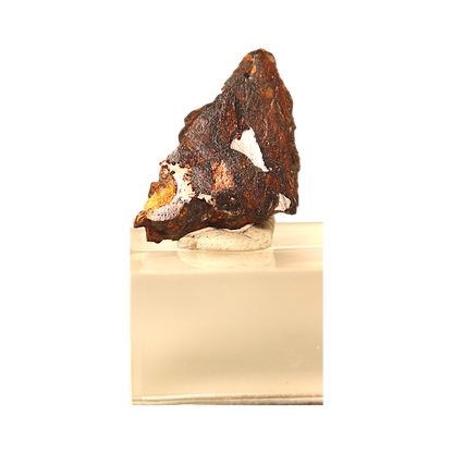 Sericho Pallasite Meteorite