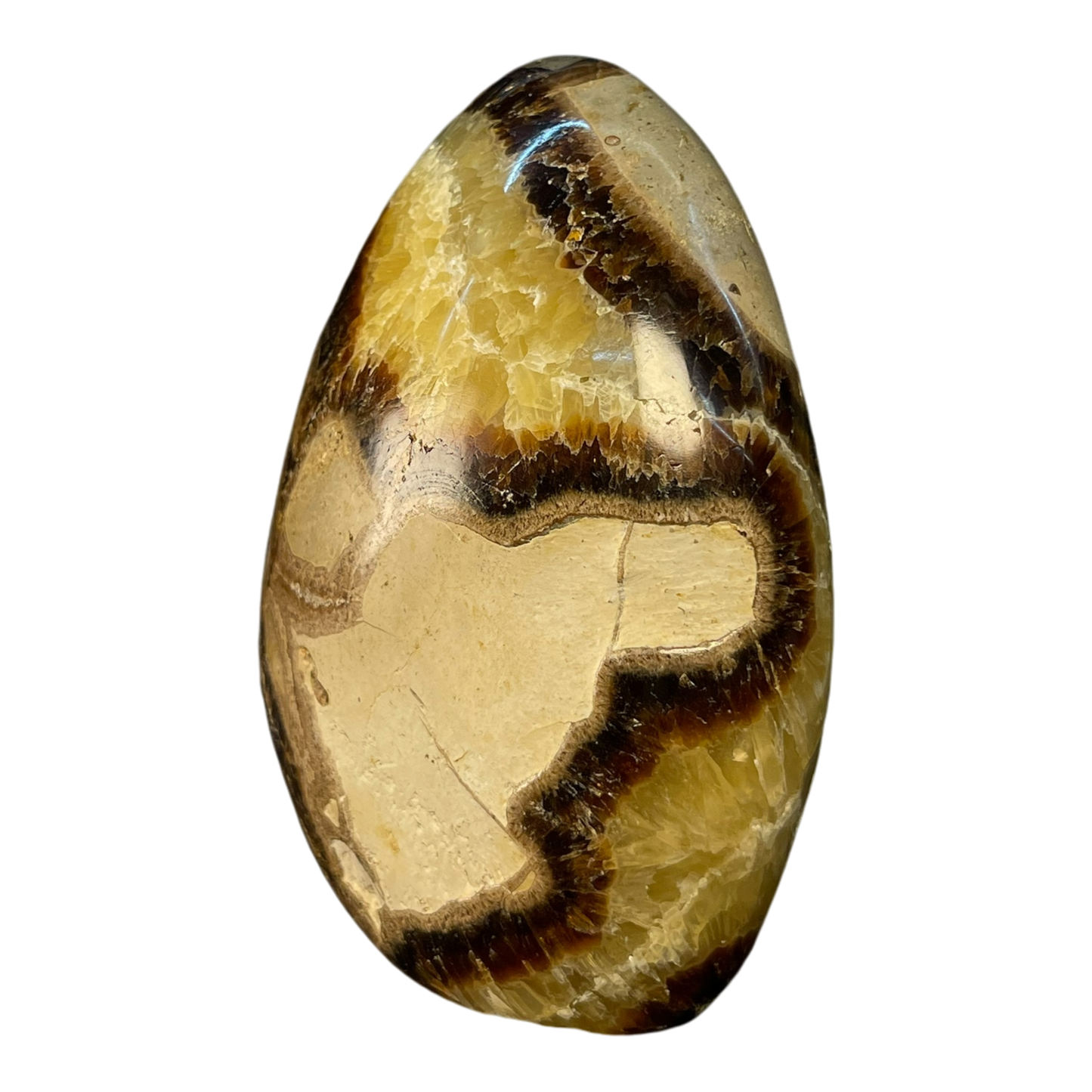 Septerian Agate