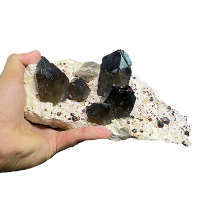 Smoky Quartz with Garnet Ball