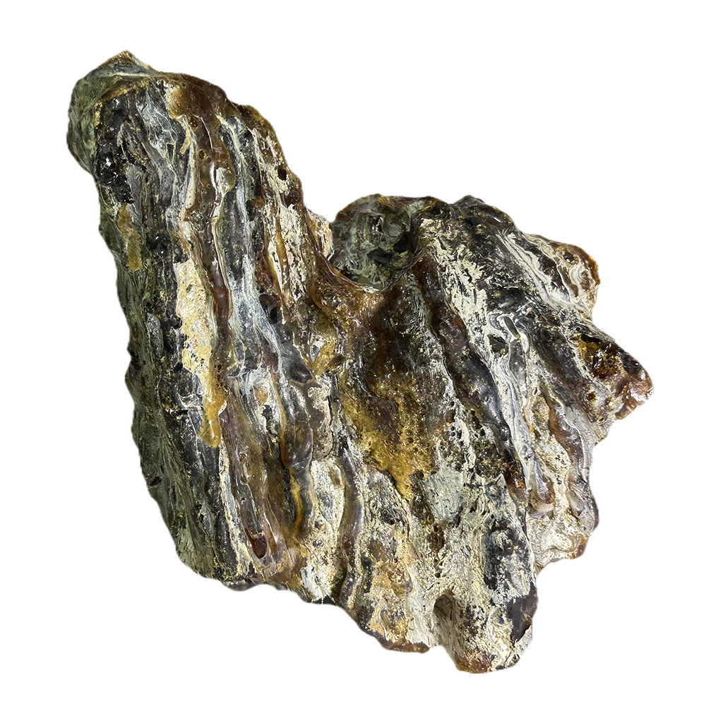 Amber (Copal)