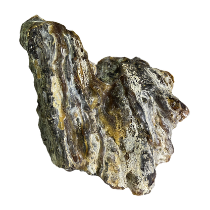 Amber (Copal)