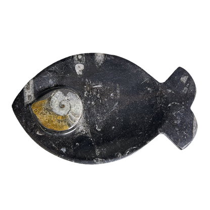 Ammonite Polished Dish