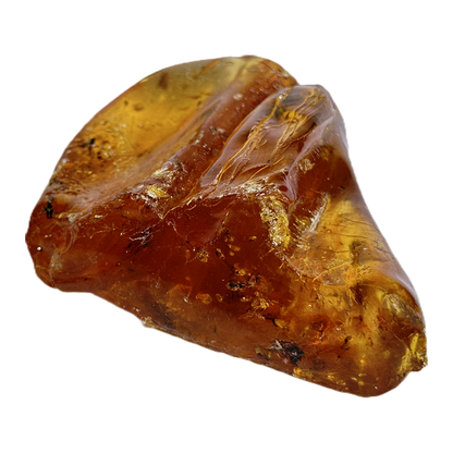 Insects in Amber
