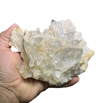 Himalayan Quartz Cluster