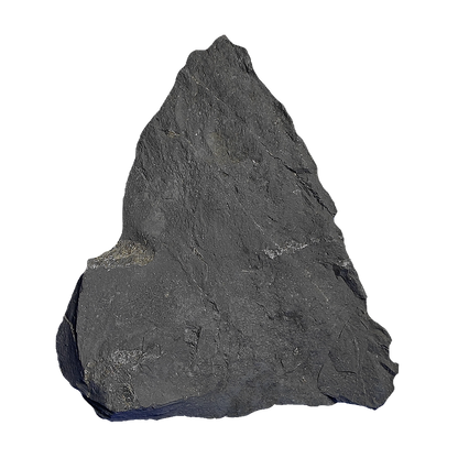 Shungite