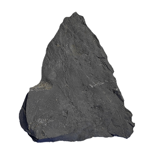 Shungite