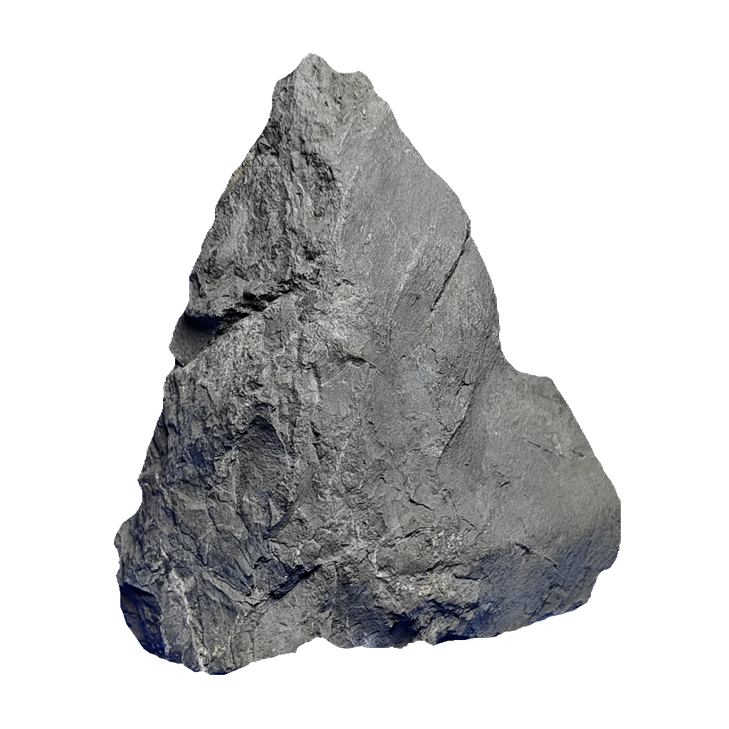 Shungite