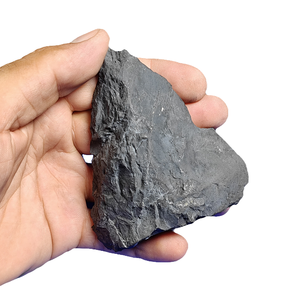 Shungite