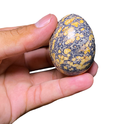 Cobra Jasper Egg