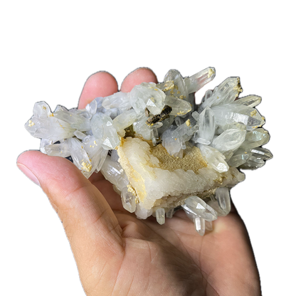 Quartz with Coated Calcite