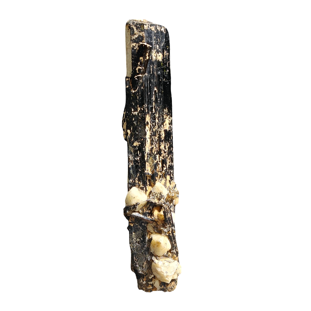 Black Tourmaline