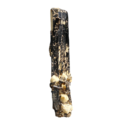 Black Tourmaline