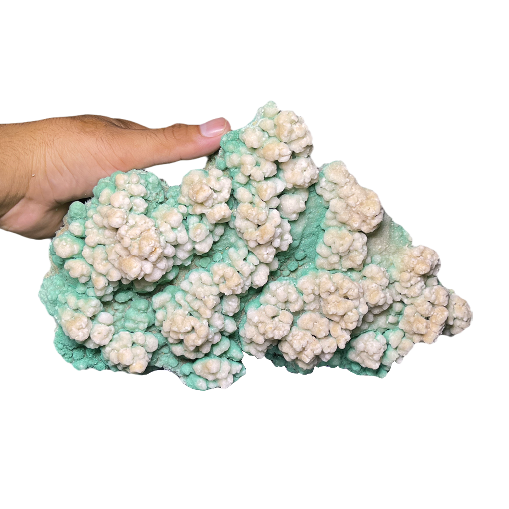 Green Coated Gypsum