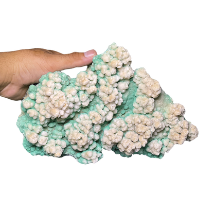 Green Coated Gypsum